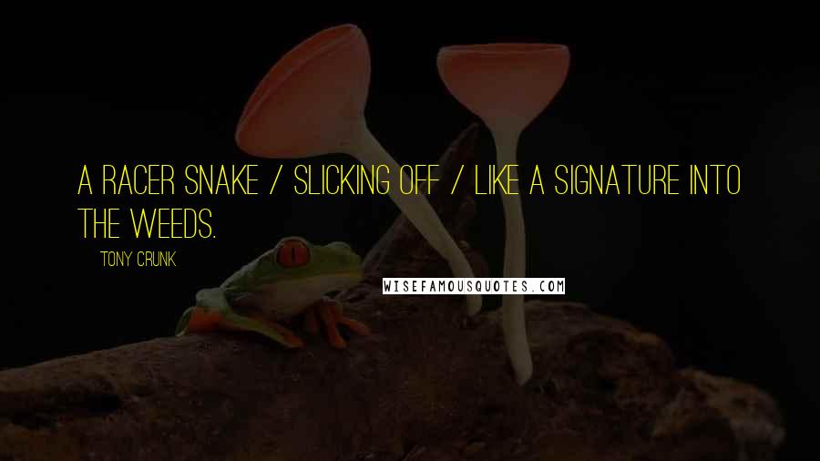 Tony Crunk Quotes: A racer snake / slicking off / like a signature into the weeds.