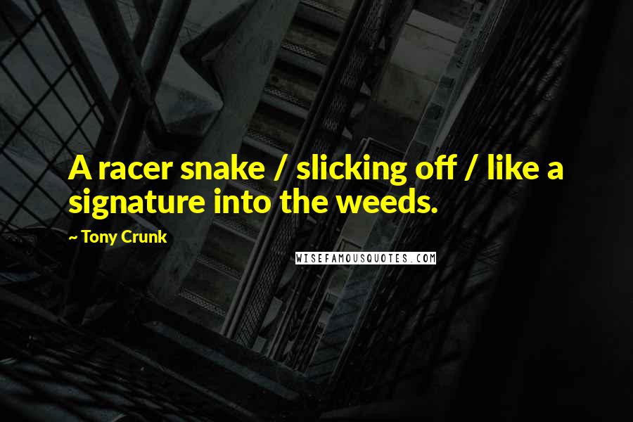 Tony Crunk Quotes: A racer snake / slicking off / like a signature into the weeds.
