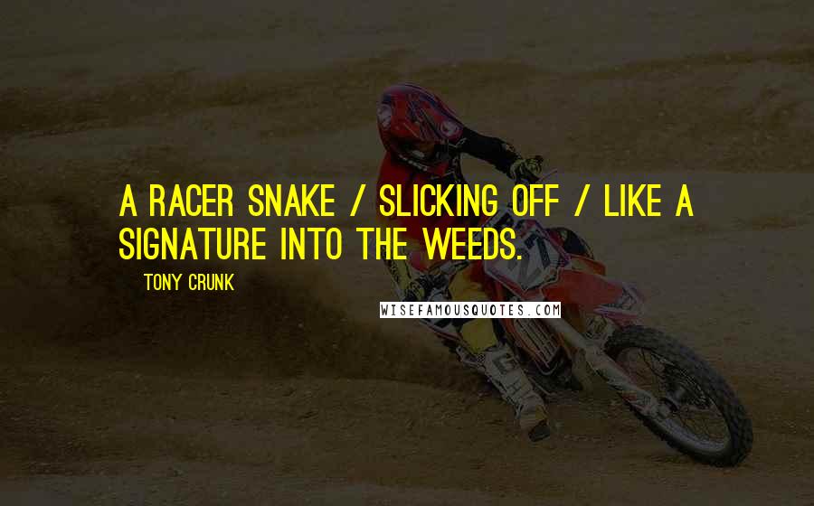 Tony Crunk Quotes: A racer snake / slicking off / like a signature into the weeds.