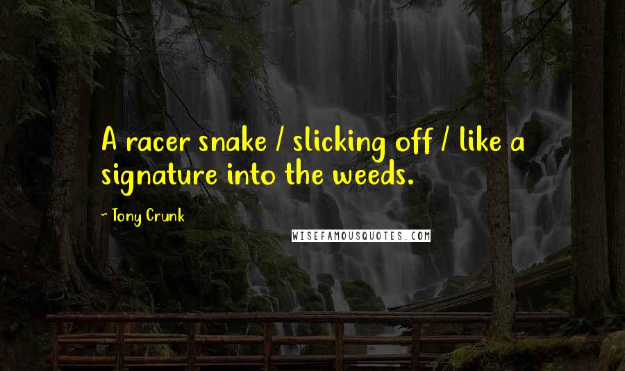 Tony Crunk Quotes: A racer snake / slicking off / like a signature into the weeds.