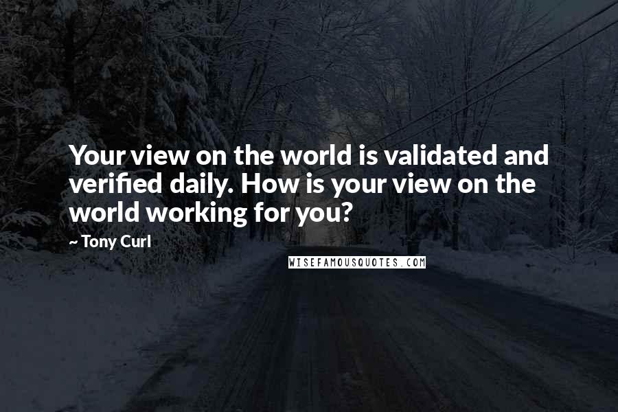 Tony Curl Quotes: Your view on the world is validated and verified daily. How is your view on the world working for you?