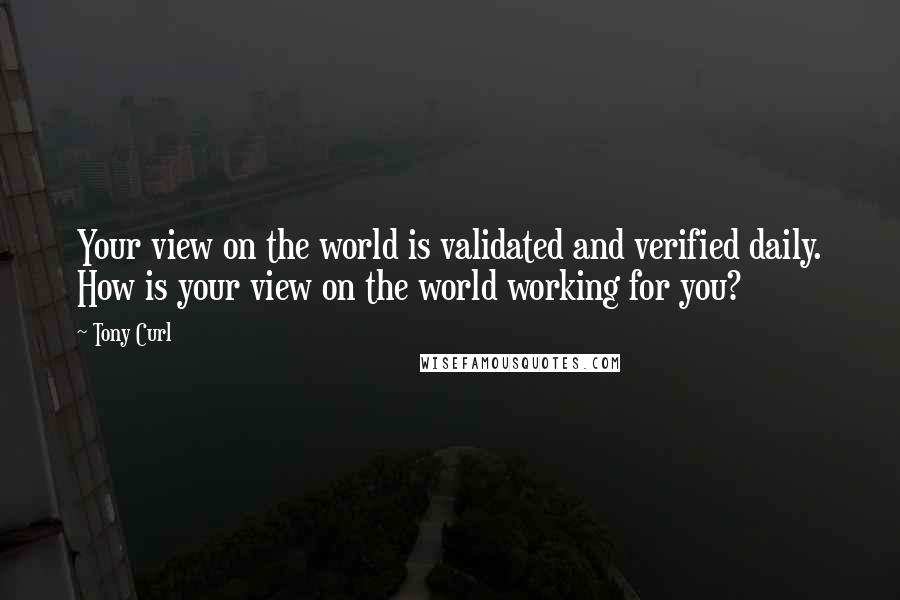 Tony Curl Quotes: Your view on the world is validated and verified daily. How is your view on the world working for you?