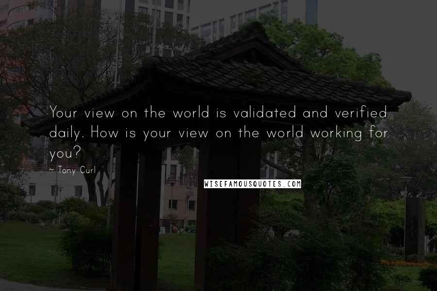 Tony Curl Quotes: Your view on the world is validated and verified daily. How is your view on the world working for you?