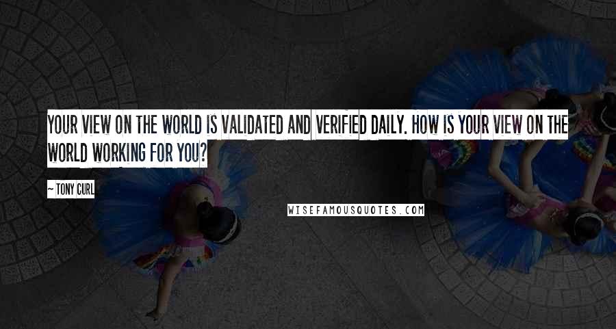 Tony Curl Quotes: Your view on the world is validated and verified daily. How is your view on the world working for you?