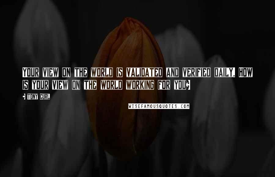 Tony Curl Quotes: Your view on the world is validated and verified daily. How is your view on the world working for you?