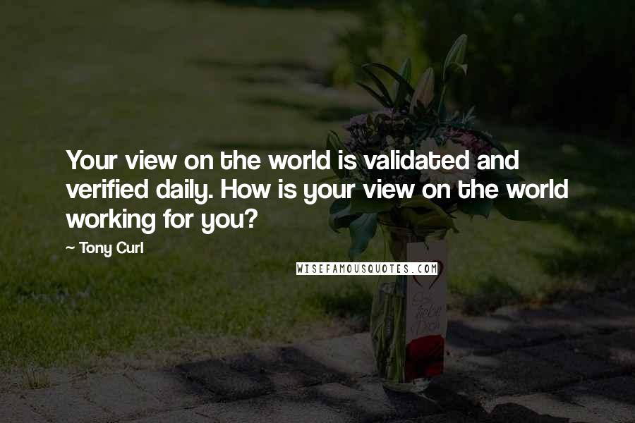 Tony Curl Quotes: Your view on the world is validated and verified daily. How is your view on the world working for you?