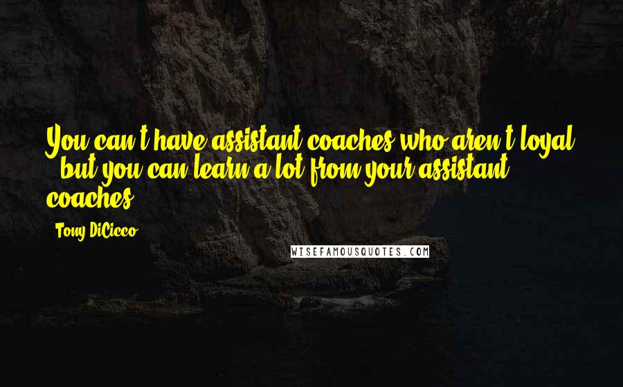 Tony DiCicco Quotes: You can't have assistant coaches who aren't loyal - but you can learn a lot from your assistant coaches.