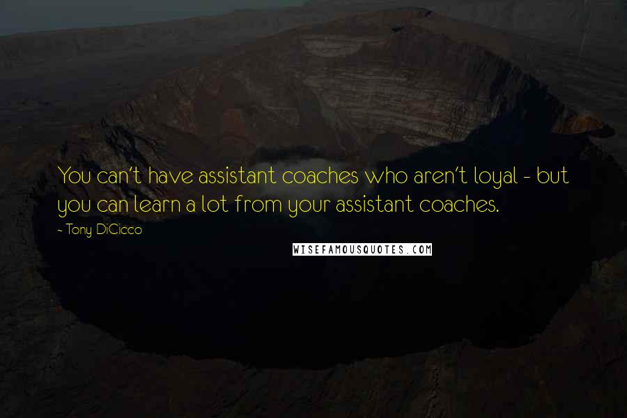 Tony DiCicco Quotes: You can't have assistant coaches who aren't loyal - but you can learn a lot from your assistant coaches.