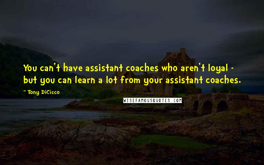 Tony DiCicco Quotes: You can't have assistant coaches who aren't loyal - but you can learn a lot from your assistant coaches.