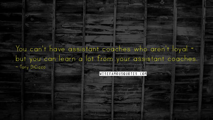 Tony DiCicco Quotes: You can't have assistant coaches who aren't loyal - but you can learn a lot from your assistant coaches.