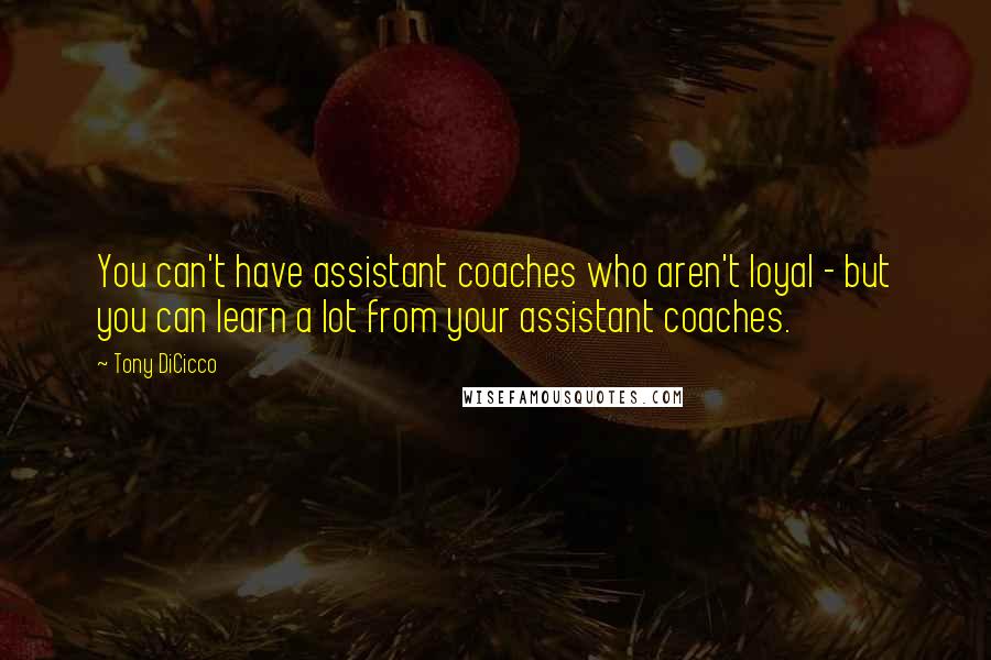 Tony DiCicco Quotes: You can't have assistant coaches who aren't loyal - but you can learn a lot from your assistant coaches.