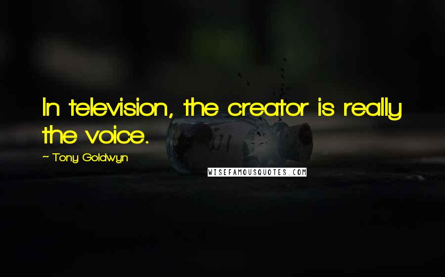 Tony Goldwyn Quotes: In television, the creator is really the voice.