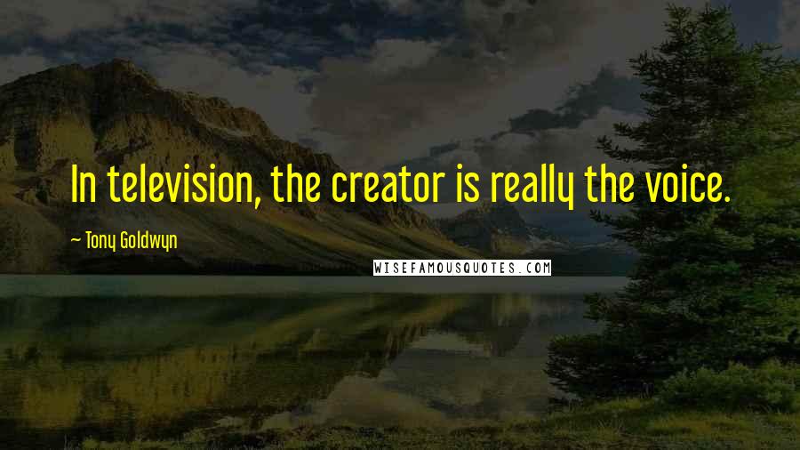 Tony Goldwyn Quotes: In television, the creator is really the voice.