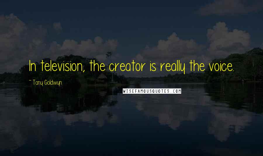 Tony Goldwyn Quotes: In television, the creator is really the voice.