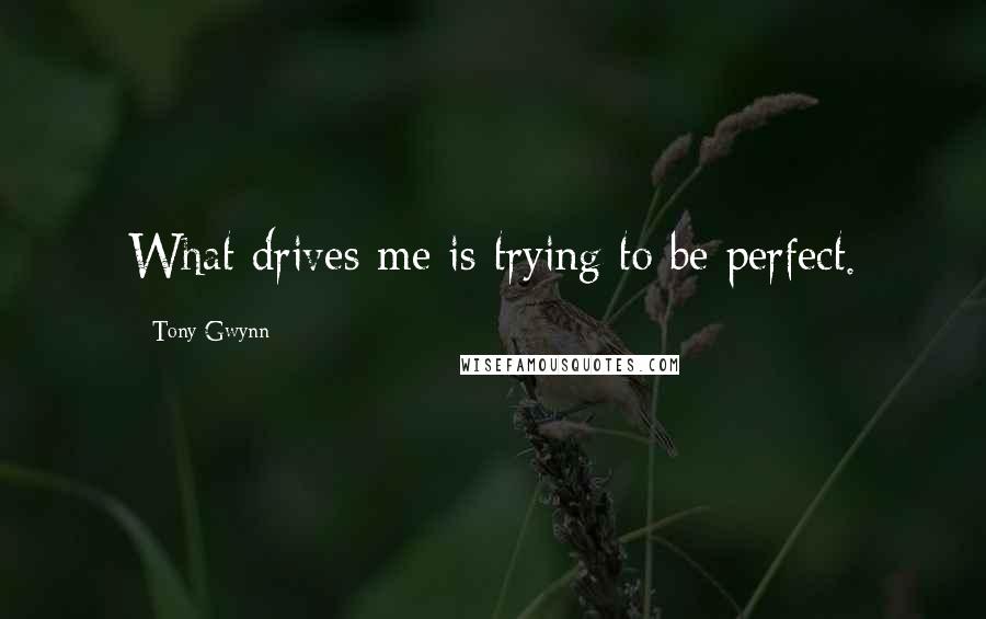 Tony Gwynn Quotes: What drives me is trying to be perfect.