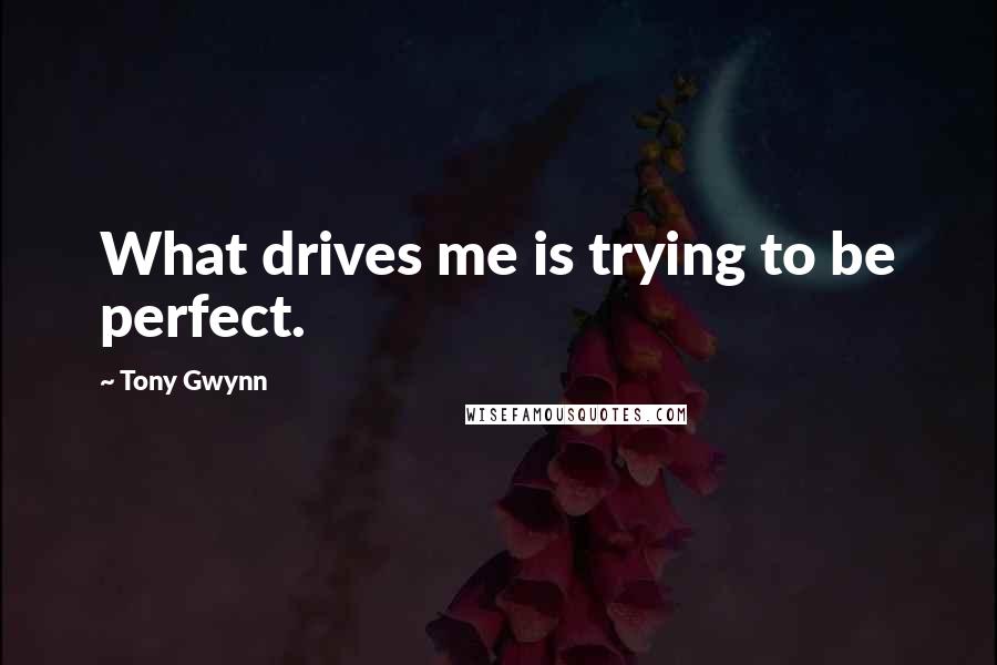 Tony Gwynn Quotes: What drives me is trying to be perfect.