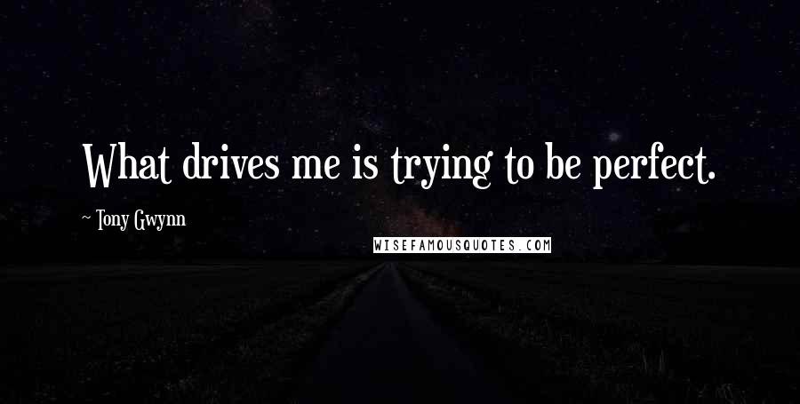 Tony Gwynn Quotes: What drives me is trying to be perfect.