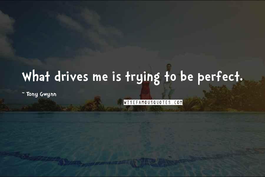 Tony Gwynn Quotes: What drives me is trying to be perfect.