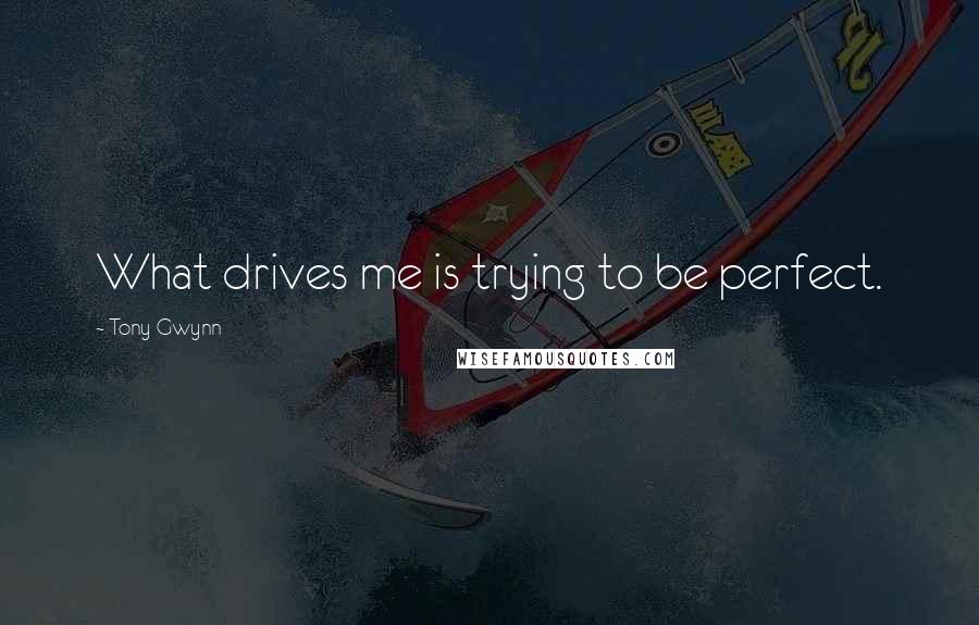 Tony Gwynn Quotes: What drives me is trying to be perfect.
