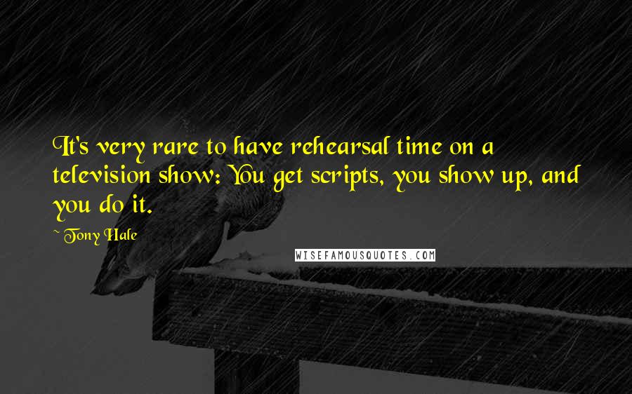 Tony Hale Quotes: It's very rare to have rehearsal time on a television show: You get scripts, you show up, and you do it.