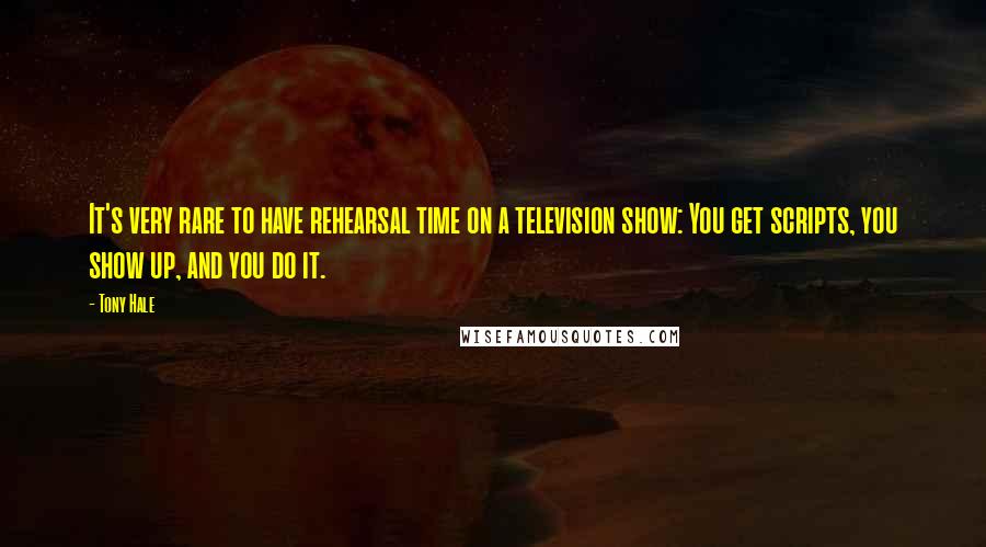 Tony Hale Quotes: It's very rare to have rehearsal time on a television show: You get scripts, you show up, and you do it.
