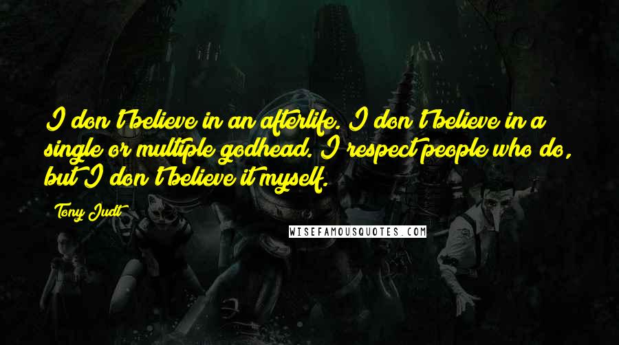 Tony Judt Quotes: I don't believe in an afterlife. I don't believe in a single or multiple godhead. I respect people who do, but I don't believe it myself.