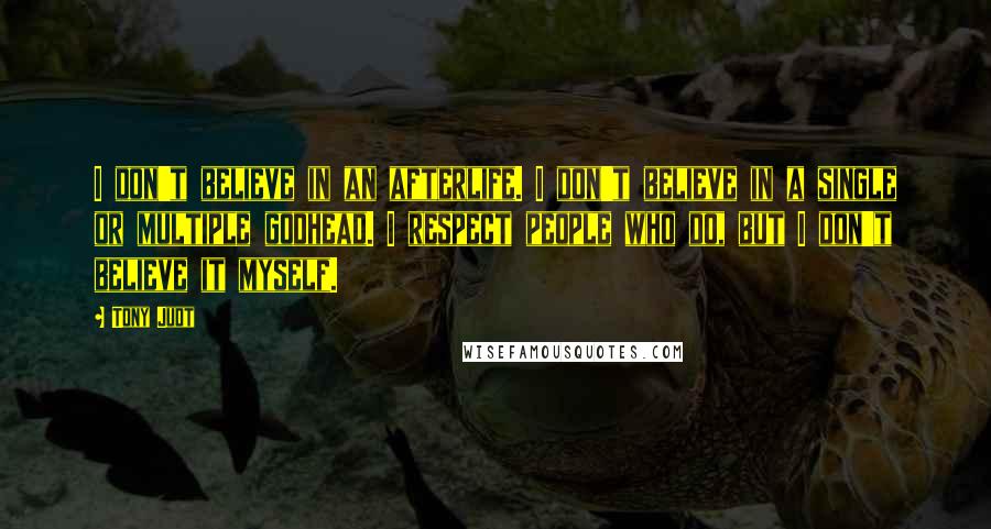 Tony Judt Quotes: I don't believe in an afterlife. I don't believe in a single or multiple godhead. I respect people who do, but I don't believe it myself.