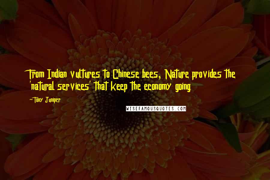 Tony Juniper Quotes: From Indian vultures to Chinese bees, Nature provides the 'natural services' that keep the economy going