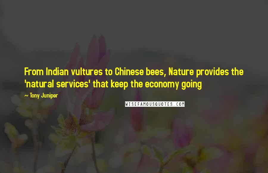 Tony Juniper Quotes: From Indian vultures to Chinese bees, Nature provides the 'natural services' that keep the economy going