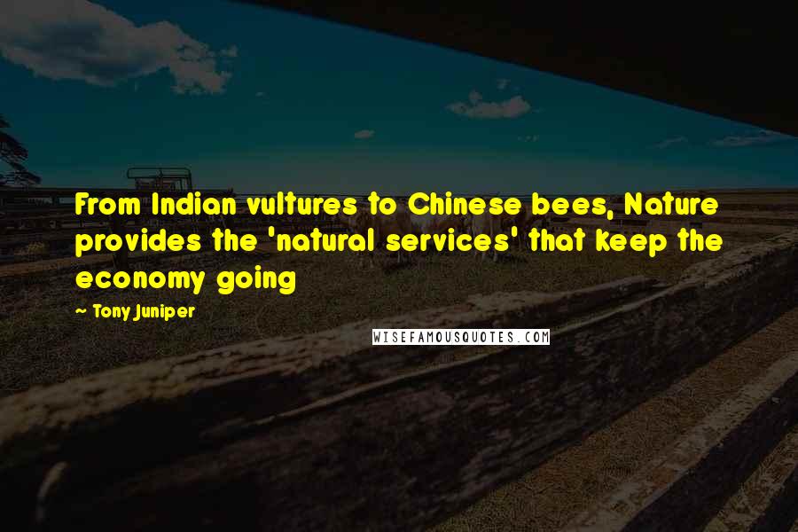 Tony Juniper Quotes: From Indian vultures to Chinese bees, Nature provides the 'natural services' that keep the economy going