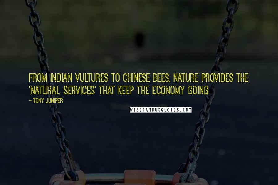 Tony Juniper Quotes: From Indian vultures to Chinese bees, Nature provides the 'natural services' that keep the economy going