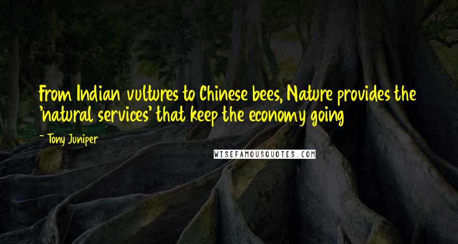 Tony Juniper Quotes: From Indian vultures to Chinese bees, Nature provides the 'natural services' that keep the economy going