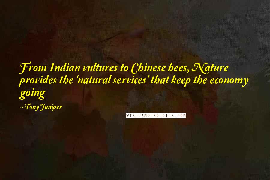 Tony Juniper Quotes: From Indian vultures to Chinese bees, Nature provides the 'natural services' that keep the economy going