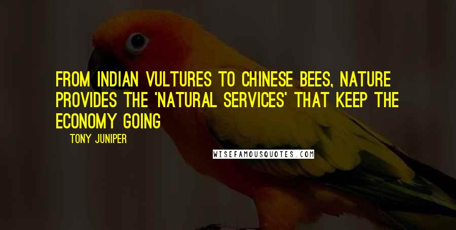 Tony Juniper Quotes: From Indian vultures to Chinese bees, Nature provides the 'natural services' that keep the economy going
