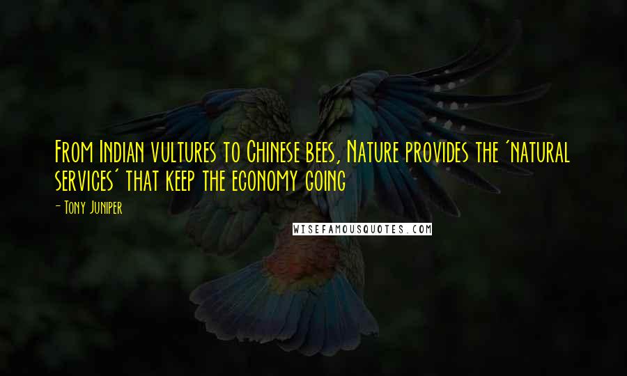 Tony Juniper Quotes: From Indian vultures to Chinese bees, Nature provides the 'natural services' that keep the economy going