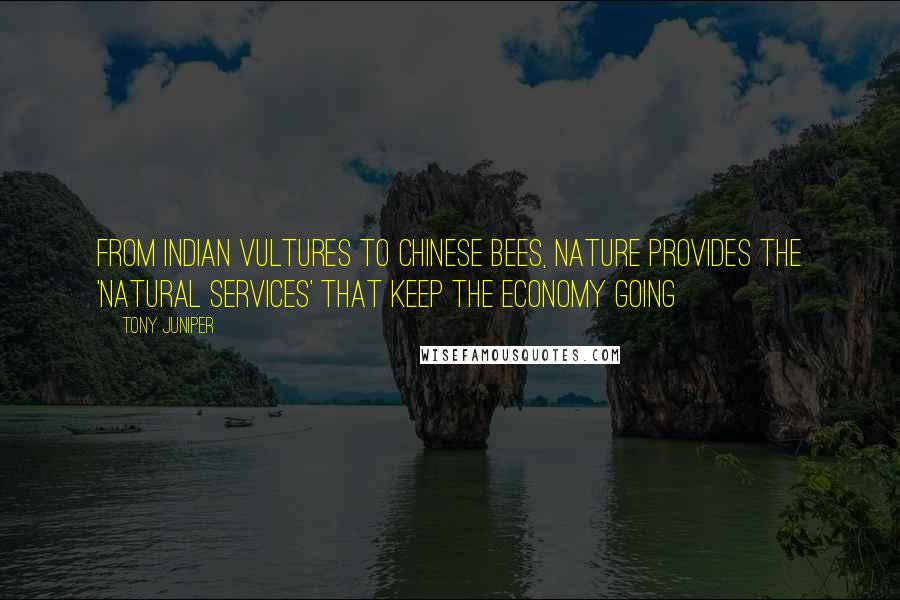 Tony Juniper Quotes: From Indian vultures to Chinese bees, Nature provides the 'natural services' that keep the economy going
