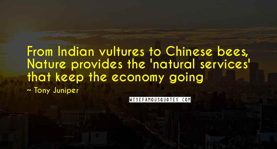 Tony Juniper Quotes: From Indian vultures to Chinese bees, Nature provides the 'natural services' that keep the economy going