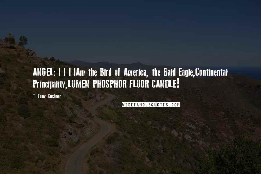 Tony Kushner Quotes: ANGEL: I I I IAm the Bird of America, the Bald Eagle,Continental Principality,LUMEN PHOSPHOR FLUOR CANDLE!