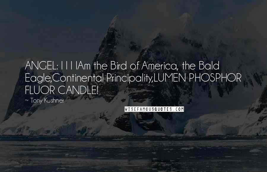 Tony Kushner Quotes: ANGEL: I I I IAm the Bird of America, the Bald Eagle,Continental Principality,LUMEN PHOSPHOR FLUOR CANDLE!