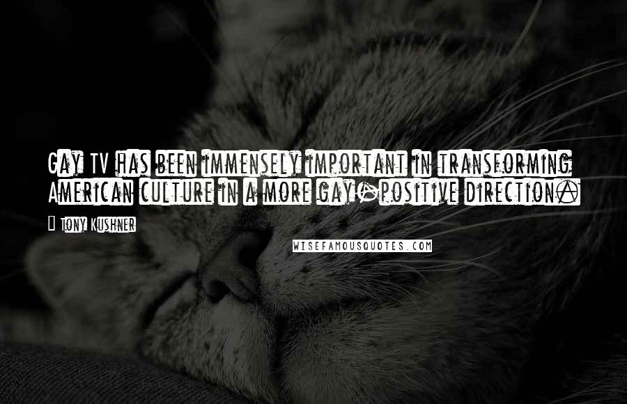 Tony Kushner Quotes: Gay TV has been immensely important in transforming American culture in a more gay-positive direction.