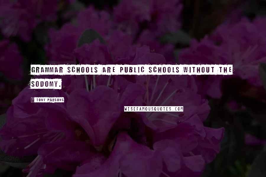 Tony Parsons Quotes: Grammar schools are public schools without the sodomy.