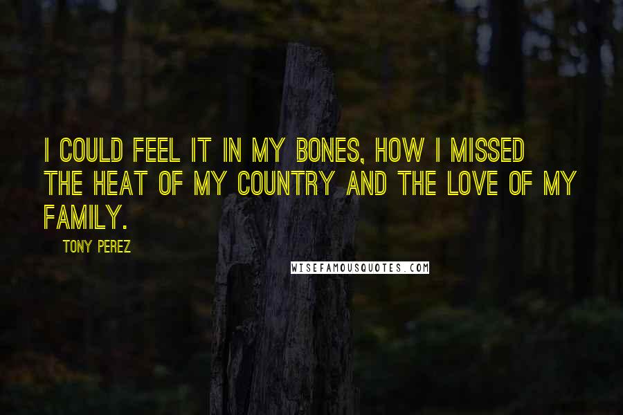 Tony Perez Quotes: I could feel it in my bones, how I missed the heat of my country and the love of my family.