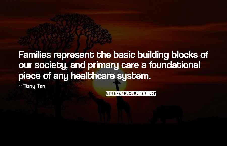 Tony Tan Quotes: Families represent the basic building blocks of our society, and primary care a foundational piece of any healthcare system.