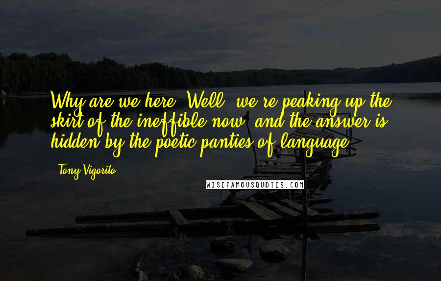 Tony Vigorito Quotes: Why are we here? Well, we're peaking up the skirt of the ineffible now, and the answer is hidden by the poetic panties of language