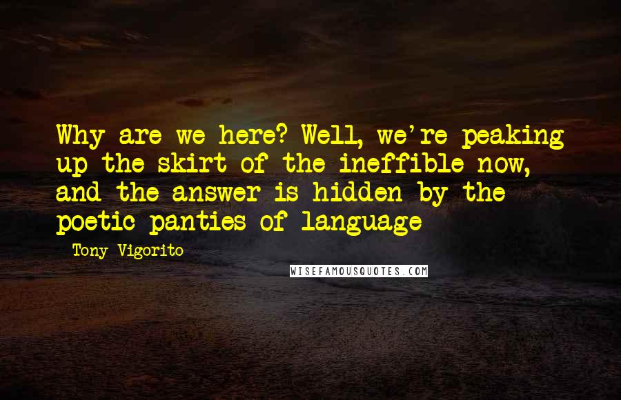 Tony Vigorito Quotes: Why are we here? Well, we're peaking up the skirt of the ineffible now, and the answer is hidden by the poetic panties of language