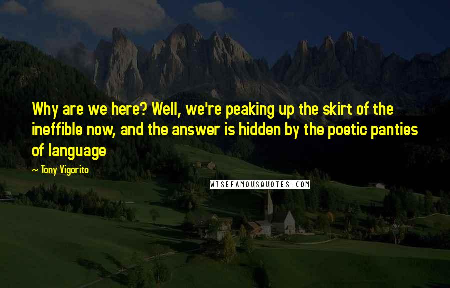 Tony Vigorito Quotes: Why are we here? Well, we're peaking up the skirt of the ineffible now, and the answer is hidden by the poetic panties of language
