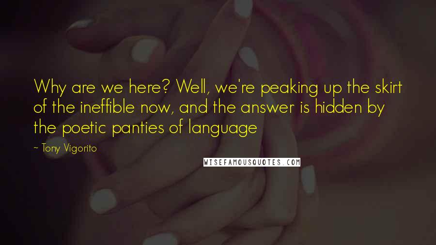 Tony Vigorito Quotes: Why are we here? Well, we're peaking up the skirt of the ineffible now, and the answer is hidden by the poetic panties of language