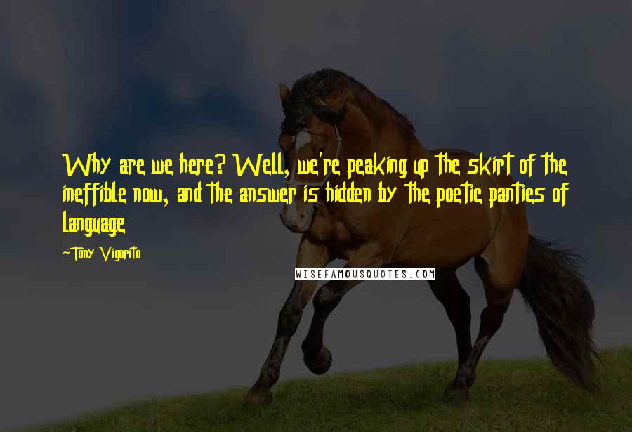 Tony Vigorito Quotes: Why are we here? Well, we're peaking up the skirt of the ineffible now, and the answer is hidden by the poetic panties of language