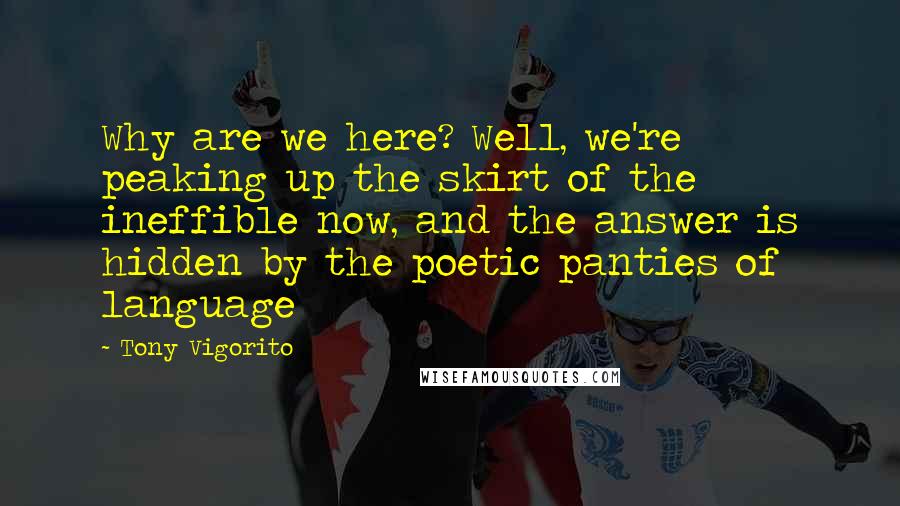 Tony Vigorito Quotes: Why are we here? Well, we're peaking up the skirt of the ineffible now, and the answer is hidden by the poetic panties of language