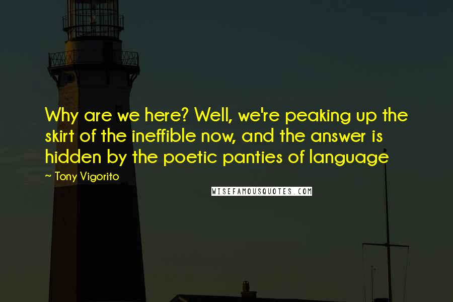 Tony Vigorito Quotes: Why are we here? Well, we're peaking up the skirt of the ineffible now, and the answer is hidden by the poetic panties of language